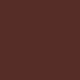 Cocoa Cookie