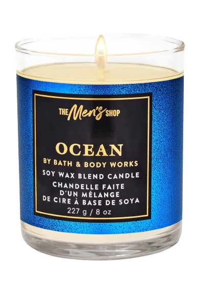 Organic Vegetable Box