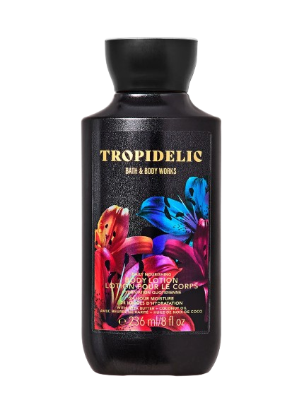 Organic Vegetable Box