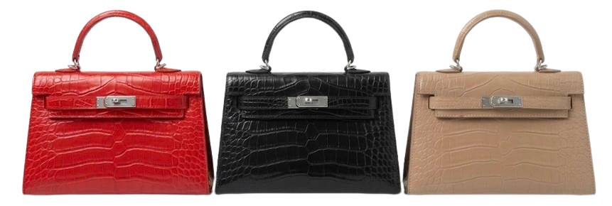 Organic Vegetable Box