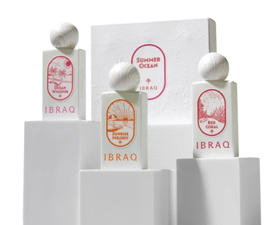 Organic Vegetable Box