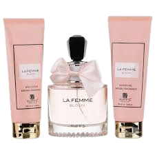 Organic Vegetable Box