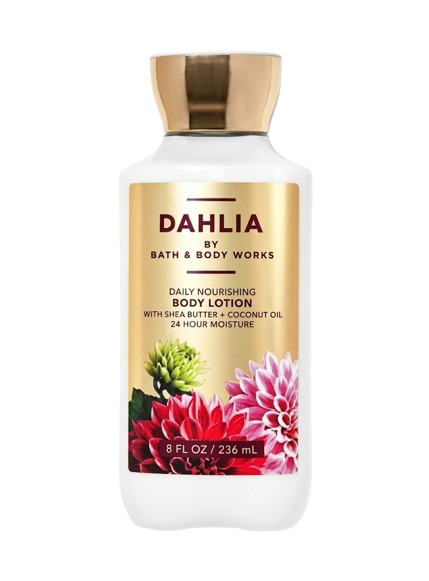 Organic Vegetable Box