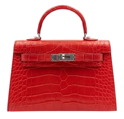 Organic Vegetable Box